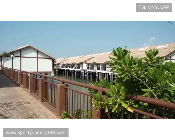 云顶国际官方网站入口指南,详细介绍多渠道登录方式方便快捷开启娱乐之旅 云顶国际官方网站入口指南,详细介绍多渠道登录方式方便快捷开启娱乐之旅