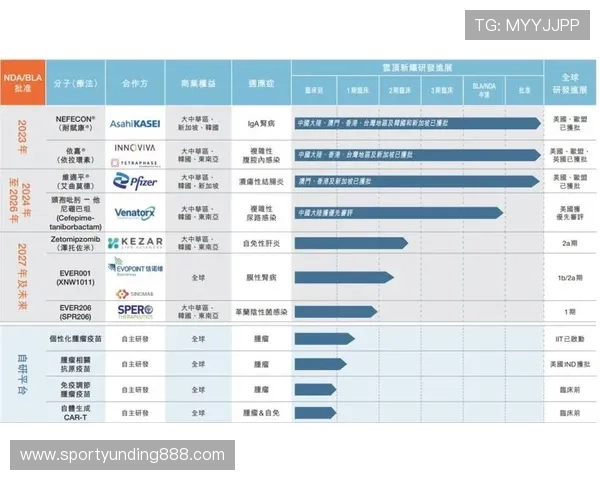 云顶新耀官网平台提供的丰富游戏资源与玩家互动社区介绍