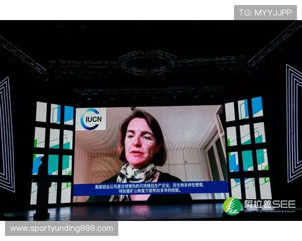 如何快速下载和安装4118云顶集团电脑版确保游戏顺利体验