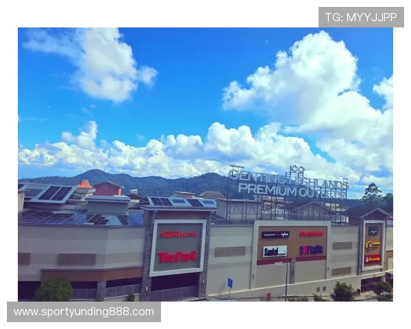 马来西亚云顶是谁的，探究其所有权结构与管理团队的详细情况